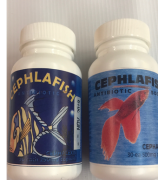 Cephlafish6